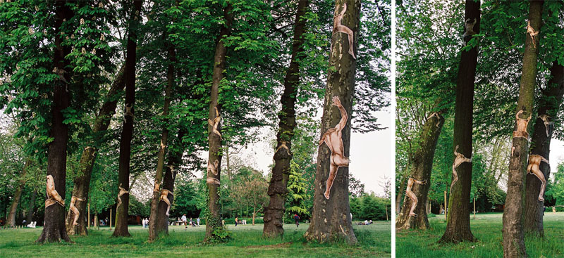 arbres-chelles